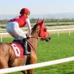 Dubai World Cup 2026 Security