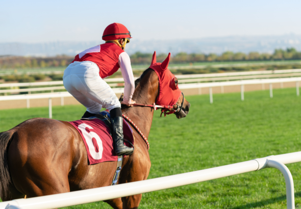 Dubai World Cup 2026 Security