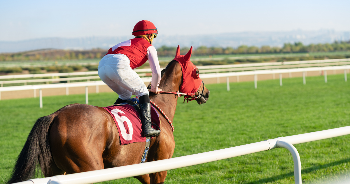 Dubai World Cup 2026 Security: Event Security Committee says plans are operational and preparations are complete 4 Dubai World Cup 2026 Security