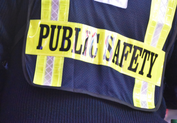 Dubai public safety law