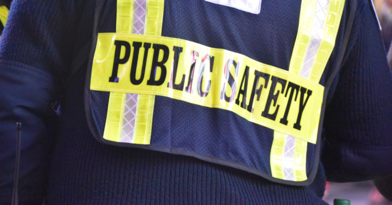 Dubai public safety law