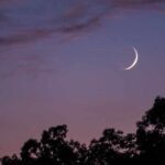 Eid Al Adha 2026 UAE date