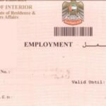 Dubai visa status check online