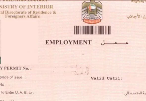 Dubai visa status check online