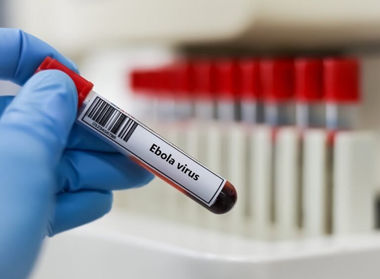 Ebola vaccine candidates
