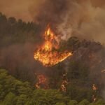 Spanish forest fire