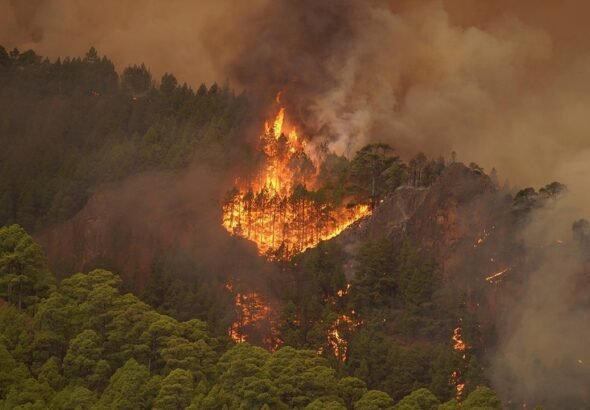 Spanish forest fire