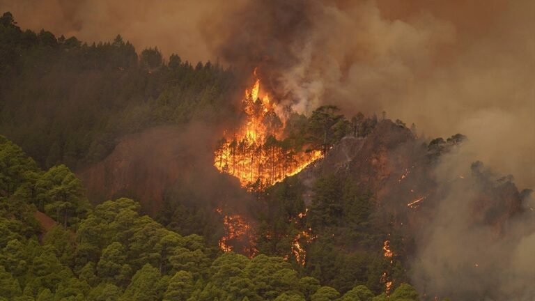 Spanish forest fire