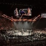 UFC 333