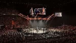 UFC 333