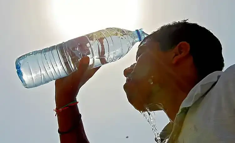 UAE highest temperature 51.2C