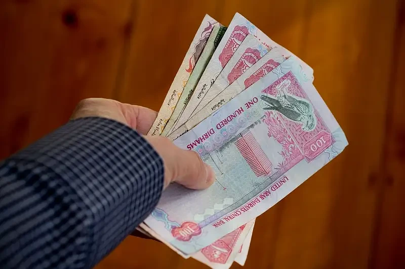 UAE debt management