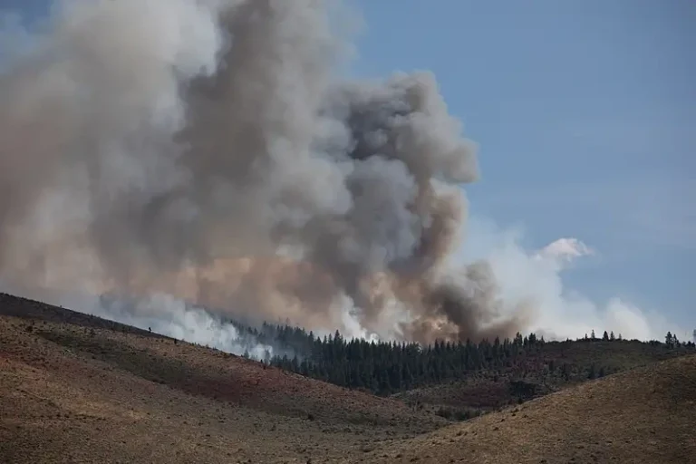 Hawk Fire Nevada
