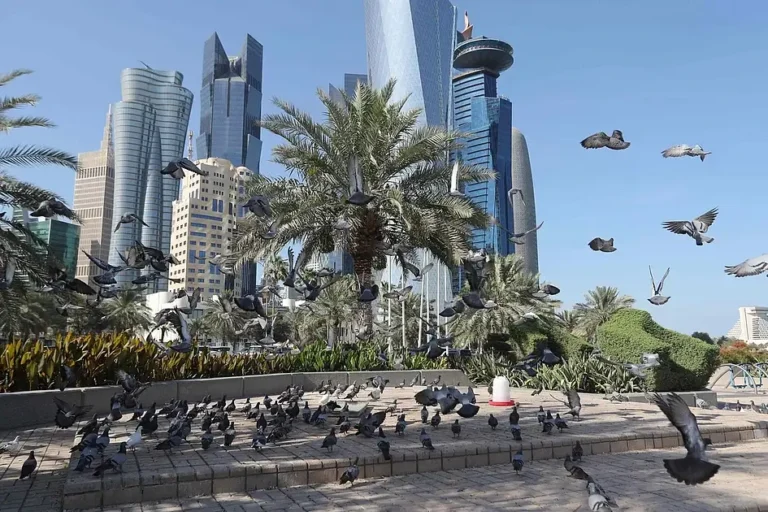 Qatar Bans 27 From Healthcare Over Fake Certificates 6 Qatar healthcare ban