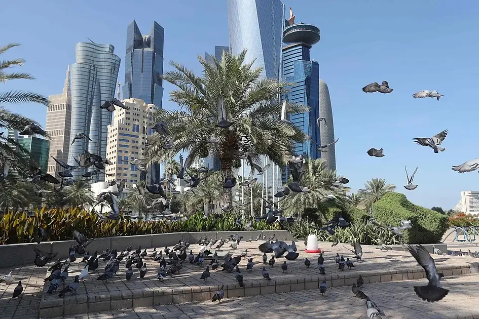 Qatar Bans 27 From Healthcare Over Fake Certificates 2 Qatar healthcare ban