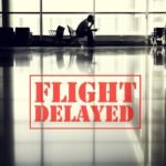 Typhoon Dolphin Shanghai flights
