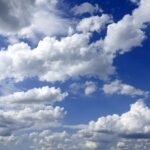 UAE highest temperature 51.2C