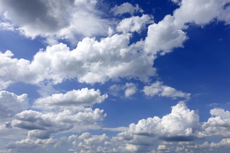 UAE highest temperature 51.2C recorded 67 UAE highest temperature 51.2C