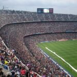 beIN SPORTS World Cup viewership