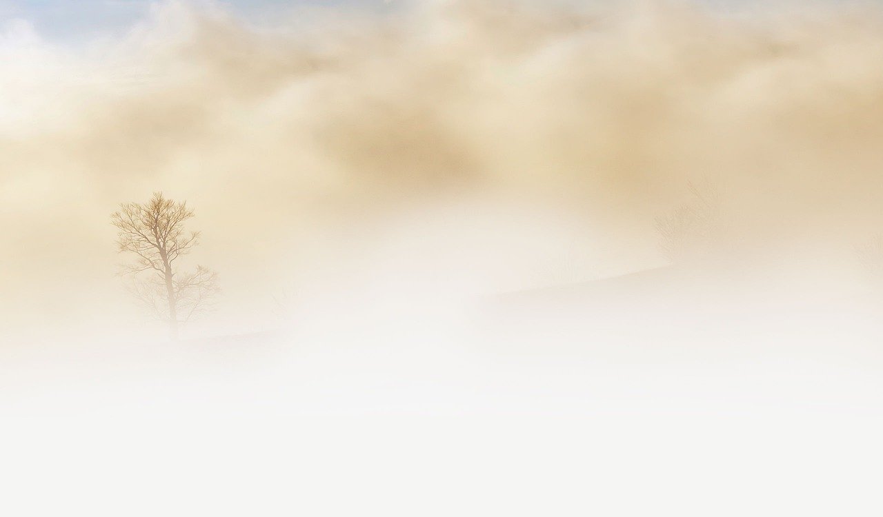 UAE Weather Forecast: Projects Rain In The Eastern Regions 1 UAE weather forecast: Rain in eastern regions