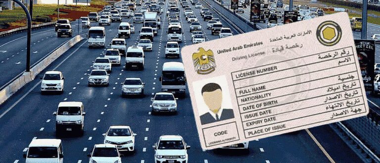 UAE traffic points reduction
