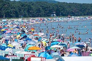 South Korea heatwave: 42.5°C recorded in Yangsan 1 South Korea heatwave