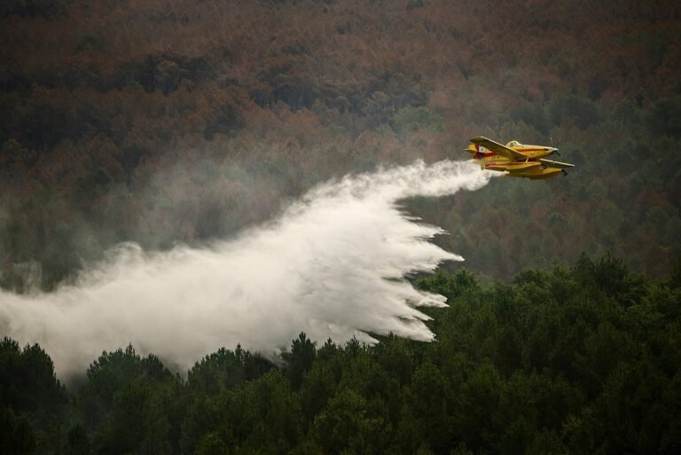 France wildfire