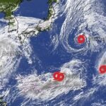 Typhoon Dolphin