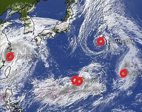 Typhoon Dolphin