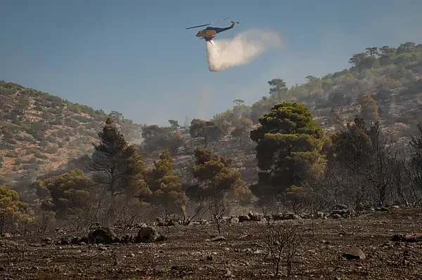 Greece wildfires