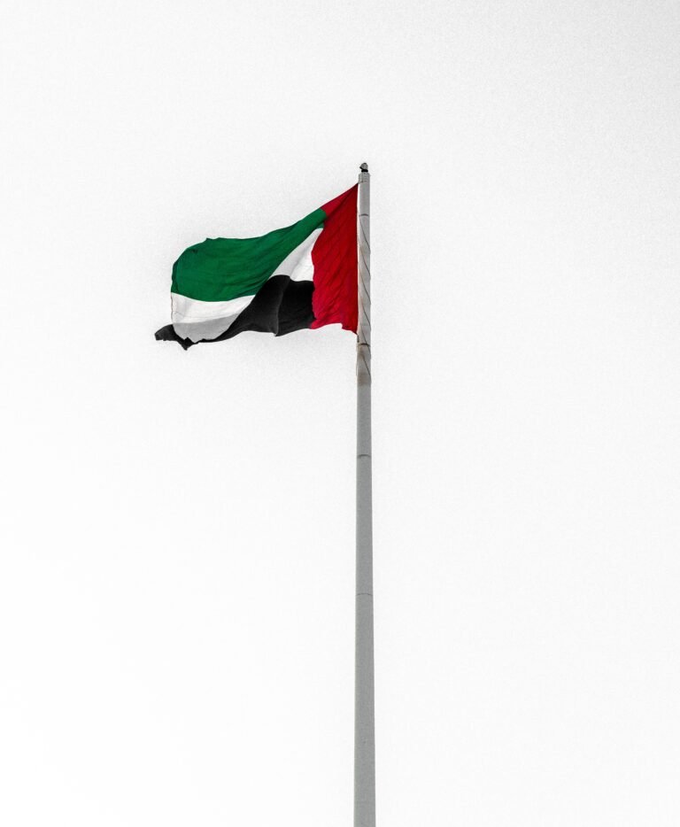 UAE scholarship rules