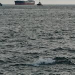 Indian Ship Sinks Red Sea After Attack