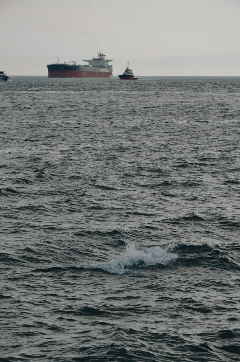 Indian Ship Sinks Red Sea After Attack