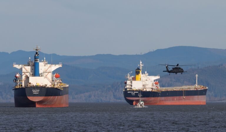 Strait of Hormuz ship attack