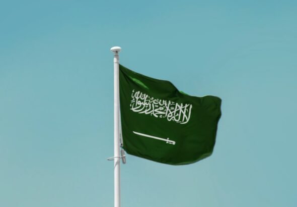 Saudi Arabia arrests