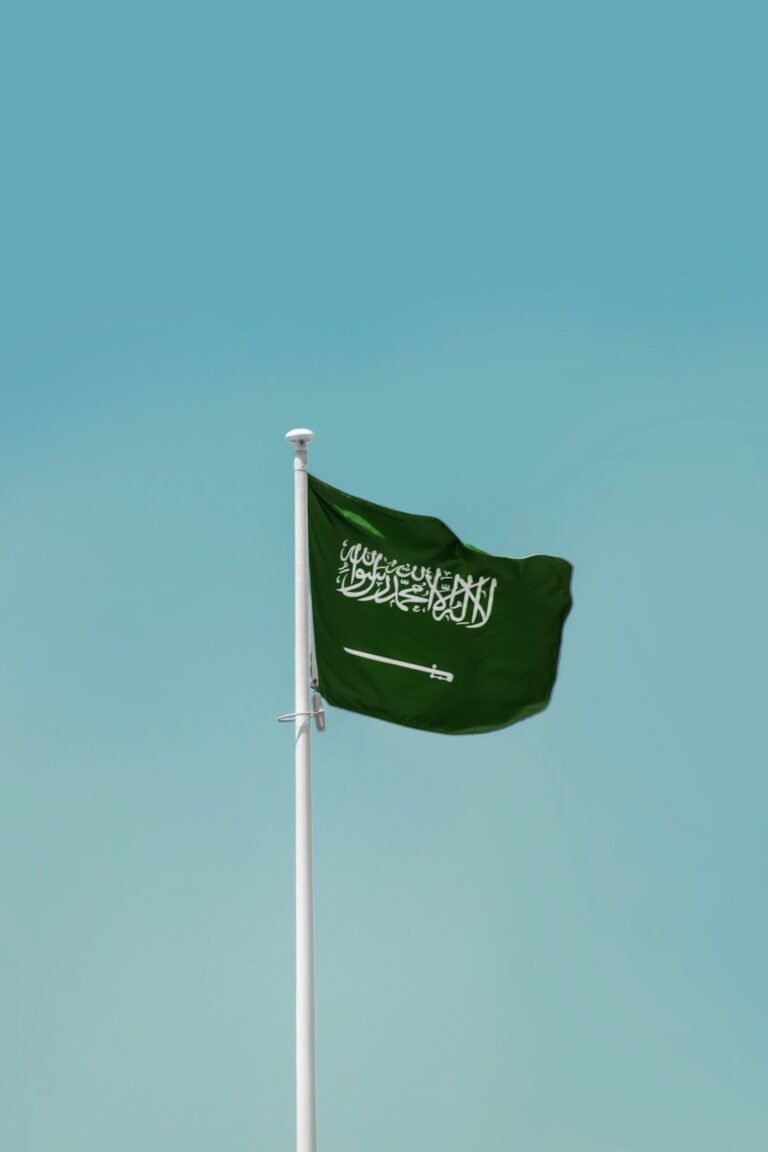 Saudi Arabia arrests
