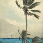 tropical cyclone