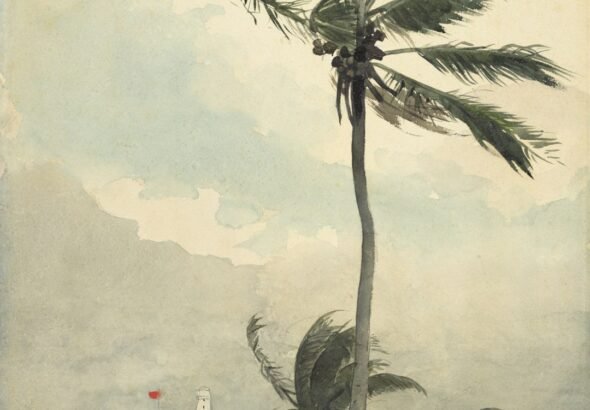tropical cyclone