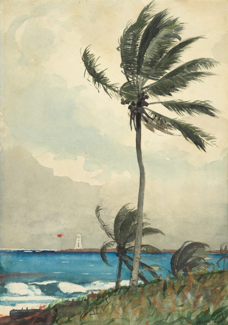 tropical cyclone
