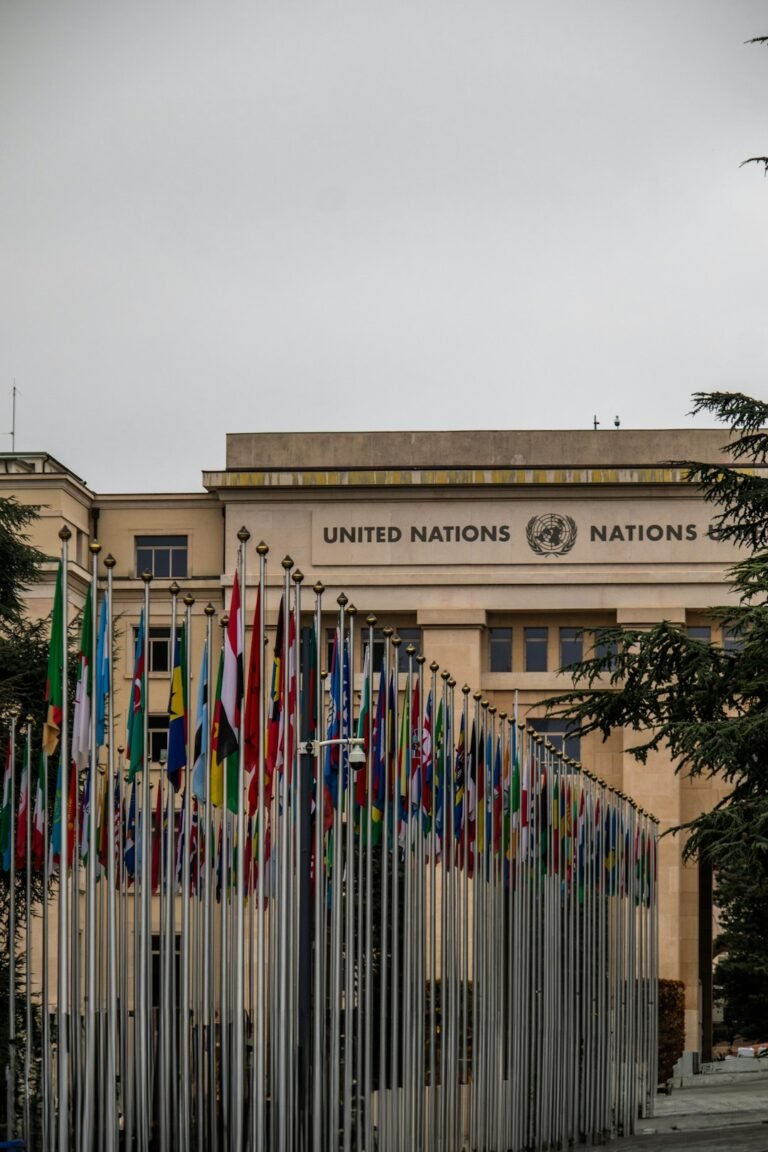 UN visa refusal