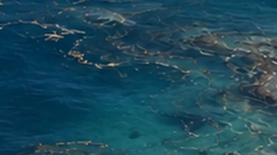 oil spill UAE