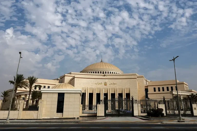 Egypt citizen detained Israel
