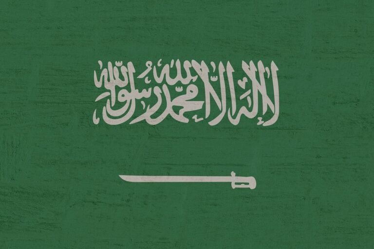 Saudi Arabia deportations reach 10,431 in a single week amid crackdown