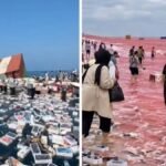 iPhones Strait of Hormuz fake video
